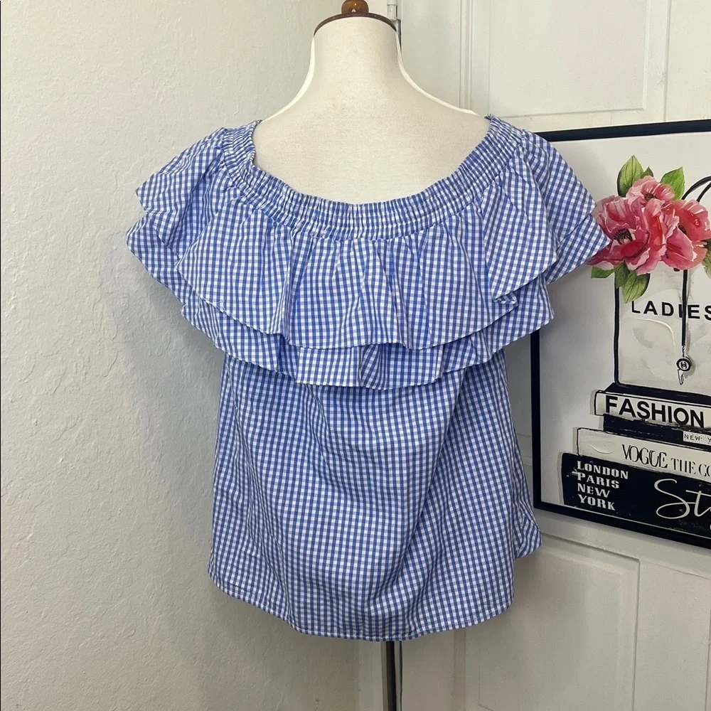 NWT Petersyn Blue & White Gingham Top Size S - Picture 4 of 9